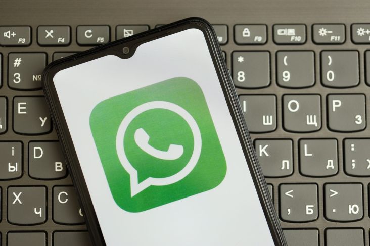 Fenomena "Hilangnya Profil WA", Apakah Ada yang Diblokir Tanpa Disadari?