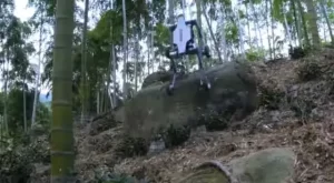 Robot Anjing dari China Mampu Bertahan di Bawah Cuaca Ekstrem Berkat Teknologi Terbaru yang Dikembangkan Negara tersebut