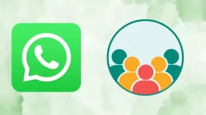 Ini Dia Cara Mudah Mengetahui Siapa yang Sedang Online di Grup WhatsApp!