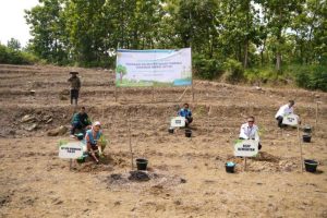 PLN EPI-Kementan Awal Proyek Sistem Pertanian Terpadu Tanaman Energi pada Brebes