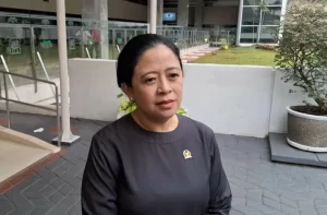 UU TNI yang dimaksud Baru Disahkan DPR Digugat ke MK, Puan: Tolong Baca Dahulu Isinya