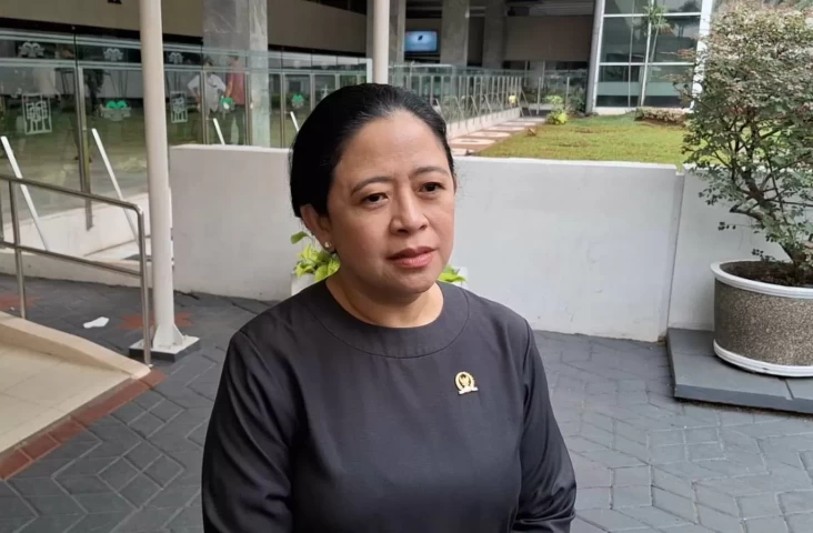 UU TNI yang dimaksud Baru Disahkan DPR Digugat ke MK, Puan: Tolong Baca Dahulu Isinya