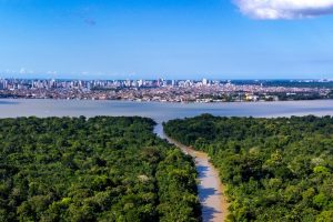 Indonesia Minta Sistem Pasar Karbon Global yang Adil di COP30