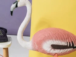 Kenali ‘Flamingo Era’, Apakah Kamu Terkena?