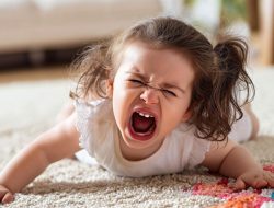 Mengapa Anak Sering Marah? Ini Cara Otak Bekerja Saat Emosi Meledak