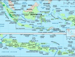 Indonesia Music Summit 2025: Forum Kolaborasi Ekosistem Musik Nasional