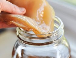 Kombucha: Teh Fermentasi Segar dengan Probiotik dan Manfaat Kesehatan Populer