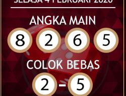 Prediksi Skor dan Susunan Pemain Newcastle United vs Manchester City di Premier League