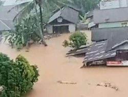 Gubernur Beri Upah Rp 50 Ribu Per Hari untuk Pemulihan Hutan, 2 Warga Kelola 1 Hektar