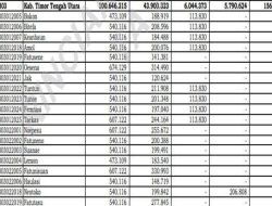 DD dan ADD 182 Desa di Kabupaten TTU Terealisasi 100 Persen