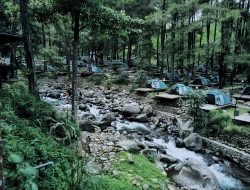 Jolotundo Glamping & Edupark Nganjuk: Wisata Alam Segar dengan Fasilitas Lengkap dan Harga Hemat