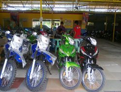 Motor listrik 1200W: Harapan baru mobilitas hijau 2026