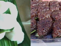 Mengapa Jadah dan Wajik Harus Ada di Lamaran atau Pernikahan Solo, Filosofi dan Makna Indah