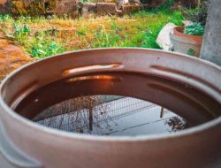 Mengapa membersihkan sarang nyamuk mudah diucapkan, tapi sulit dilakukan?