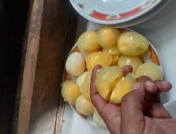 Apakah Telur Berbentuk Gel di Maluku Bisa Dimakan? Ini Penjelasan Chef