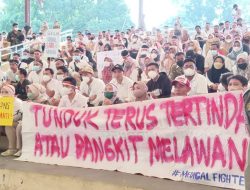 5 Berita Terpopuler: PPPK dan Honorer Siap Bersatu, PGRI Minta Pemerintah Bentuk Badan Guru Nasional