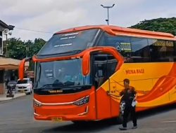 Jadwal & harga tiket bus AKAP Bali ke Jawa, cek sekarang!