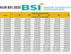 Modal Usaha Sampai Rp500 Juta Tanpa Biaya Tambahan, Cek KUR BSI 2026