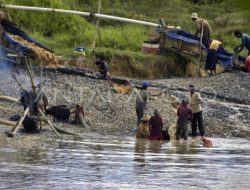Dulu Laku Keras, Kini Sulit Terjual, Emas Tambang Bolmong Raya