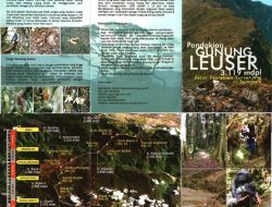 Kasus kematian pendaki di Gunung Leuser pertama kali terjadi, panduan ungkap penyebabnya