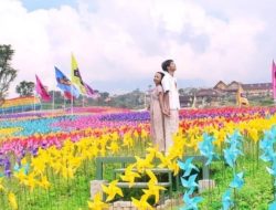 Itinerary Liburan Singkat ke Kebun Keju Cepogo, Berangkat dari Solo dengan Budget Rp 135 Ribu