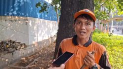 PPSU Viral Muklisin, Keluarga Petugas Kebersihan, Ibu hingga Abang Jadi Pasukan Oranye