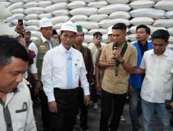 Hampir 5 Juta Ton, Mentan Pastikan Stok Beras Cukup Hadapi El Nino
