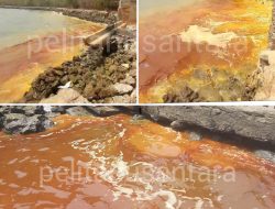 Cairan Kuning Hebohkan Laut Perlang