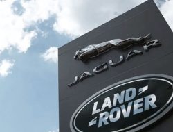 Wajah Baru Maxx Plus, ISP Asli Semarang, Bukan Sekadar Ganti Logo